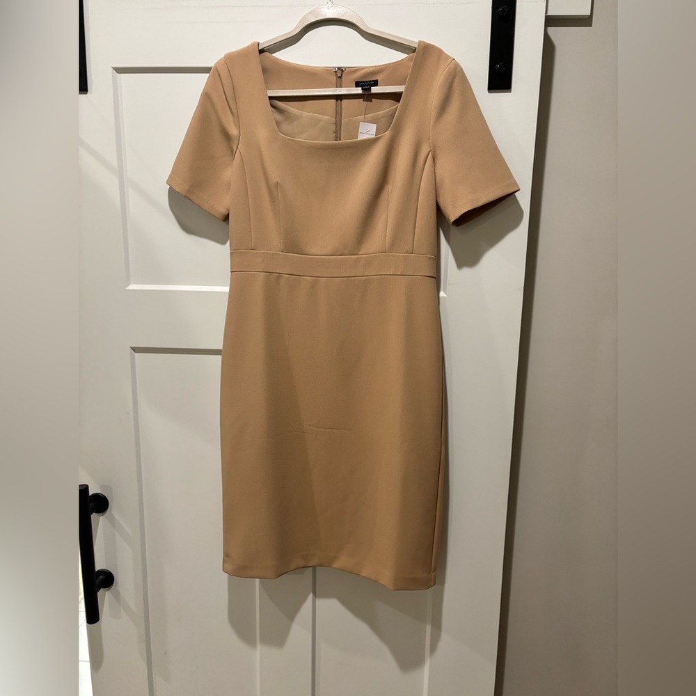 Ann Taylor Midi Dress
